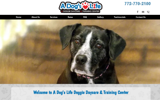 A Dogs Life Doggie Daycare Vero Beach. This link opens new window.